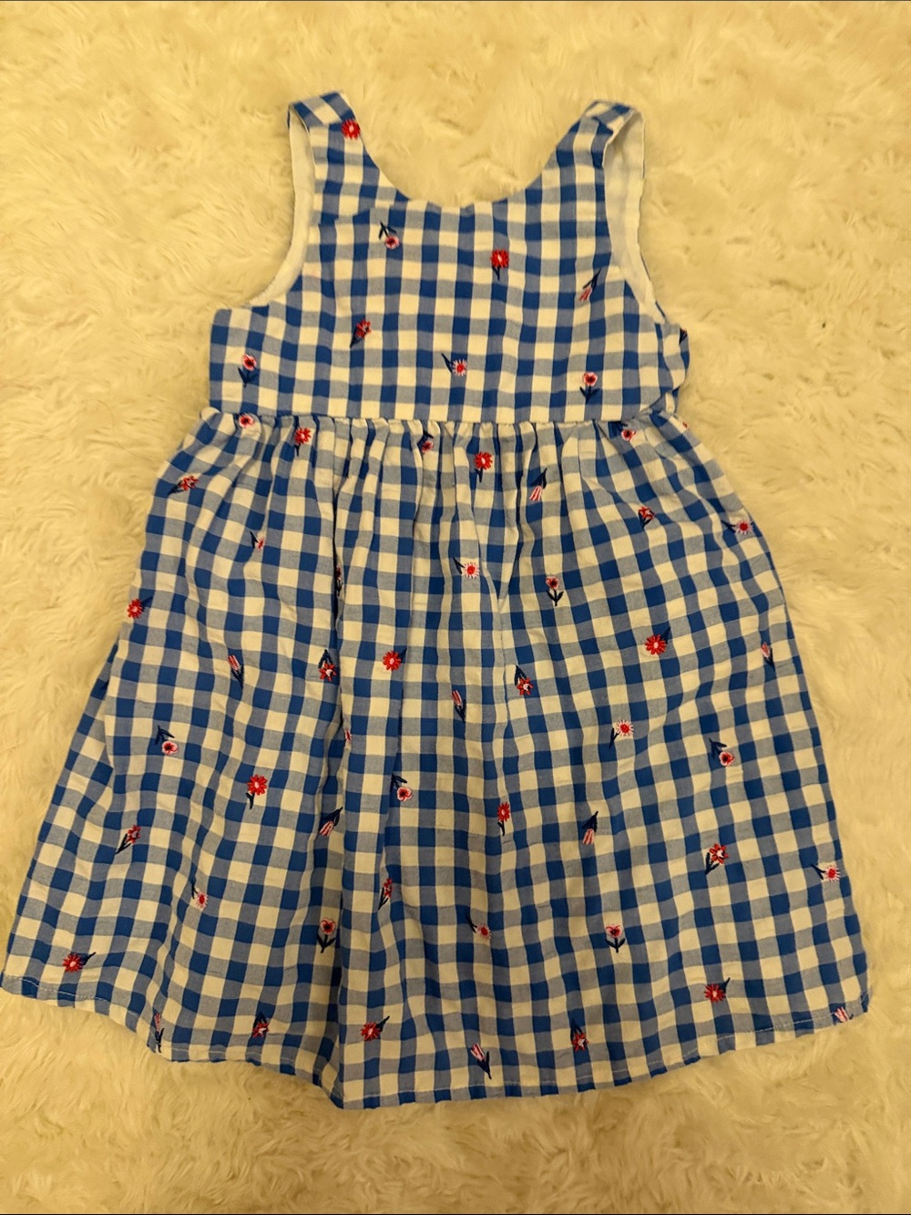 Cat & Jack Blue Gingham Floral Embroidered Girls' Dress 4T